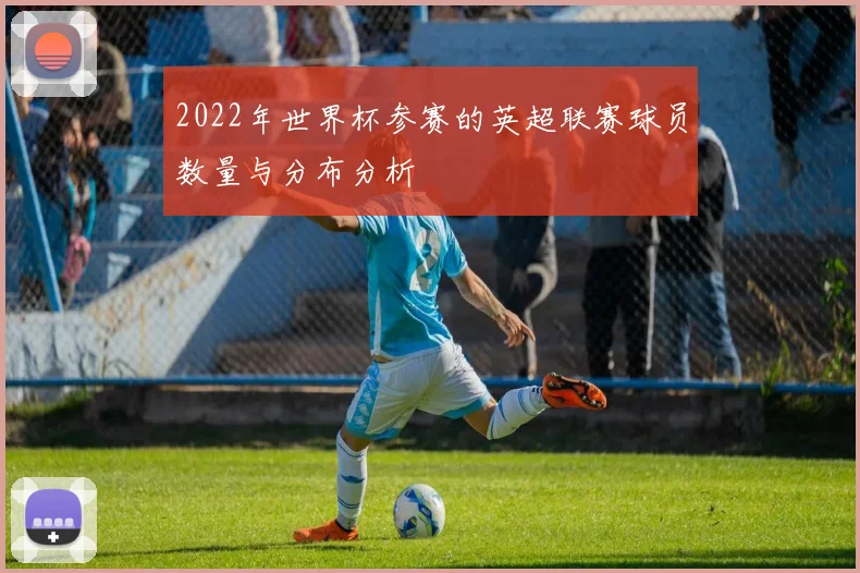 2022年世界杯参赛的英超联赛球员数量与分布分析