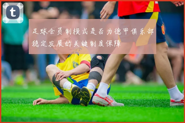 足球会员制模式是否为德甲俱乐部稳定发展的关键制度保障