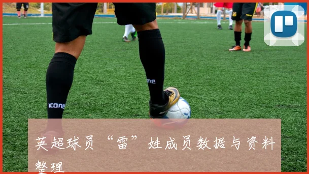 英超球员“雷”姓成员数据与资料整理